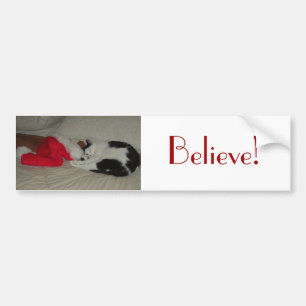Weihnachten glaubt Kitty Cat Autoaufkleber