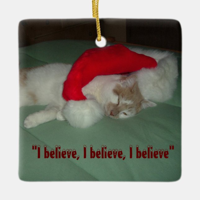 Weihnachten glaubt Tabby Cat Keramikornament (Vorderseite)