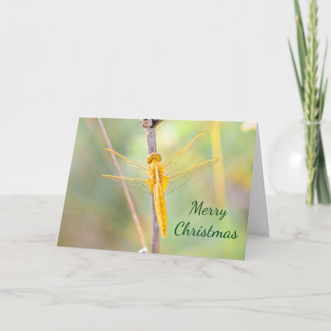 Weihnachten - Gold und Gelbe Libelle (Vorderseite)
