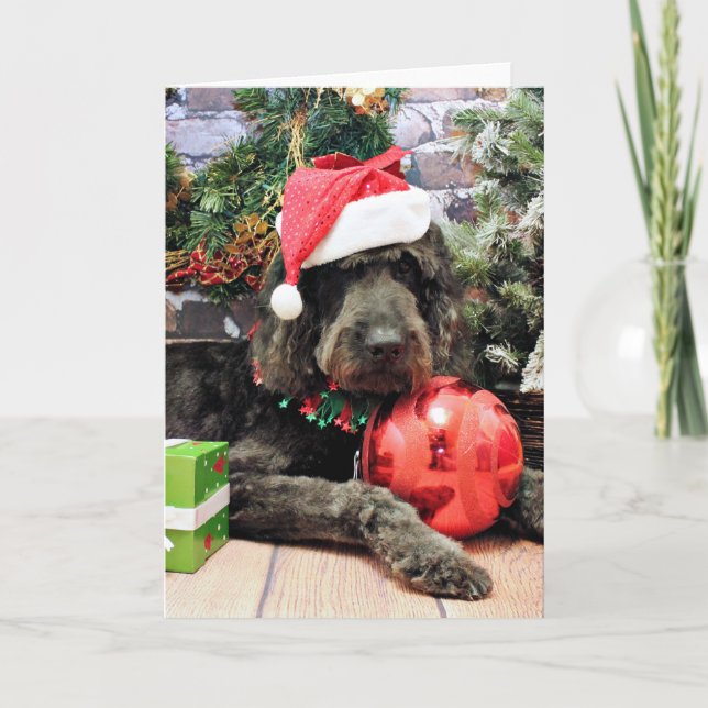 Weihnachten - Golden Doodle - Buddy (Vorderseite)
