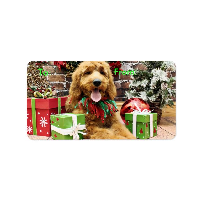 Weihnachten - Golden Doodle - Claire Adressaufkleber (Vorne)