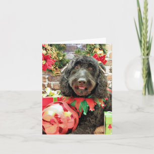 Weihnachten - Golden Doodle - Pearl Jam