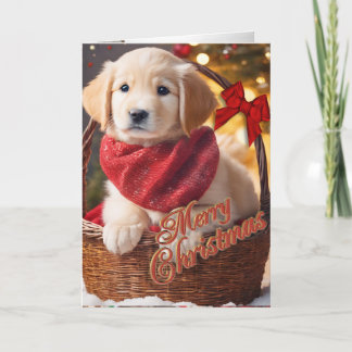 Weihnachten Golden Retriever