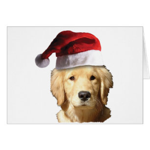 Weihnachten Golden Retriever