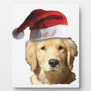 Weihnachten Golden Retriever Fotoplatte