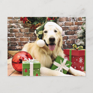 Weihnachten - Golden Retriever - Hudson