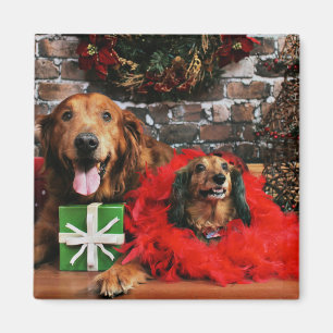 Weihnachten - Golden Retriever Max - Dackel - Chlo Magnet