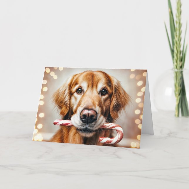 Weihnachten Golden Retriever mit Candy Cane (Vorderseite)