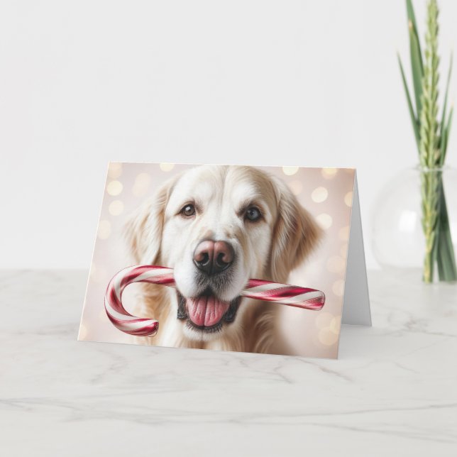 Weihnachten Golden Retriever mit Candy Cane (Vorderseite)