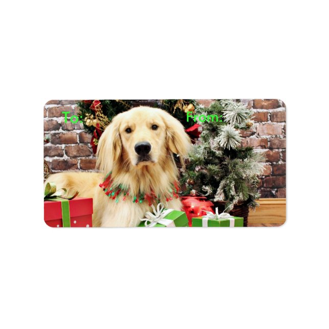 Weihnachten - Golden Retriever - Ozzy Adressaufkleber (Vorne)