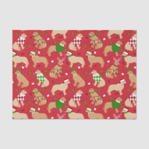 Weihnachten Golden Retriever Seidenpapier