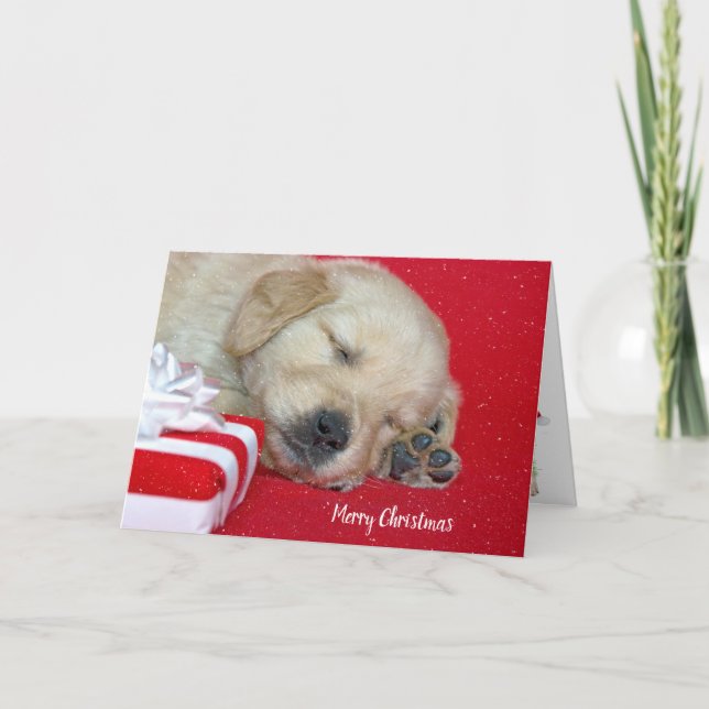 Weihnachten Golden Retriever Welpe (Vorderseite)