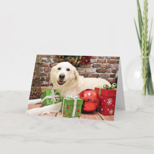 Weihnachten - große Pyrenäen Labrador X - Ginny