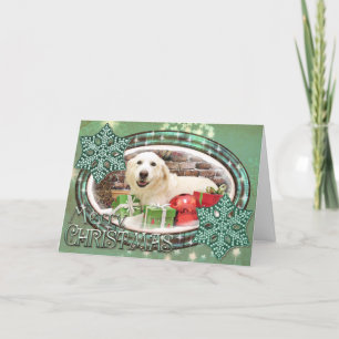 Weihnachten - große Pyrenäen Labrador X - teigig