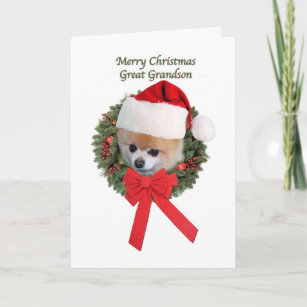 Weihnachten, Großer Enkel, Spitz Hund Feiertagskarte