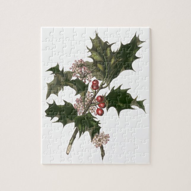 Weihnachten, Grüne Holly-Pflanze mit Berries (Vertikal)
