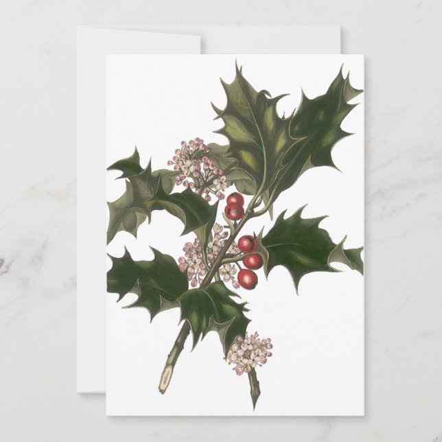 Weihnachten, Grüne Holly-Pflanze mit Berries Einladung (Vorderseite)