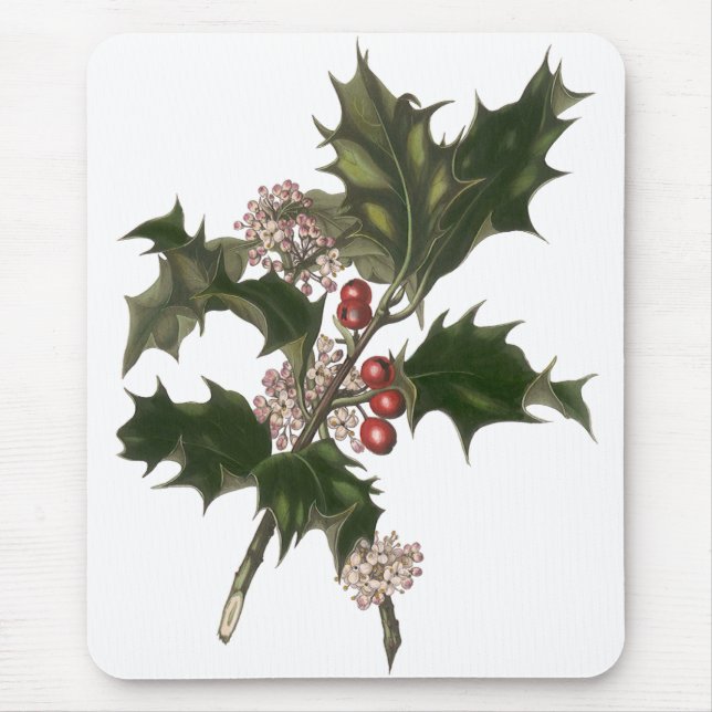 Weihnachten, Grüne Holly-Pflanze mit Berries Mousepad (Vorne)