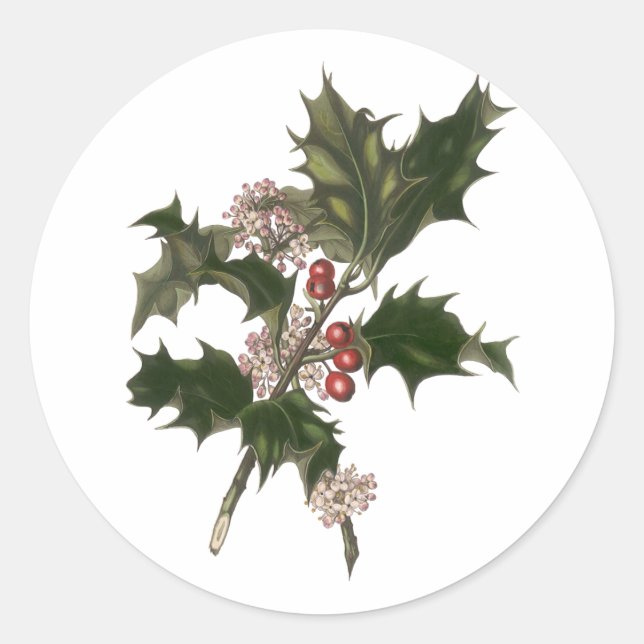 Weihnachten, Grüne Holly-Pflanze mit Berries Runder Aufkleber (Vorderseite)