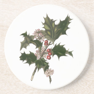 Weihnachten, Grüne Holly-Pflanze mit Berries Sandstein Untersetzer