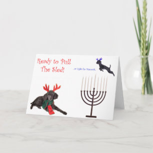 Weihnachten Hanukkah Poodle Dog w Menorah