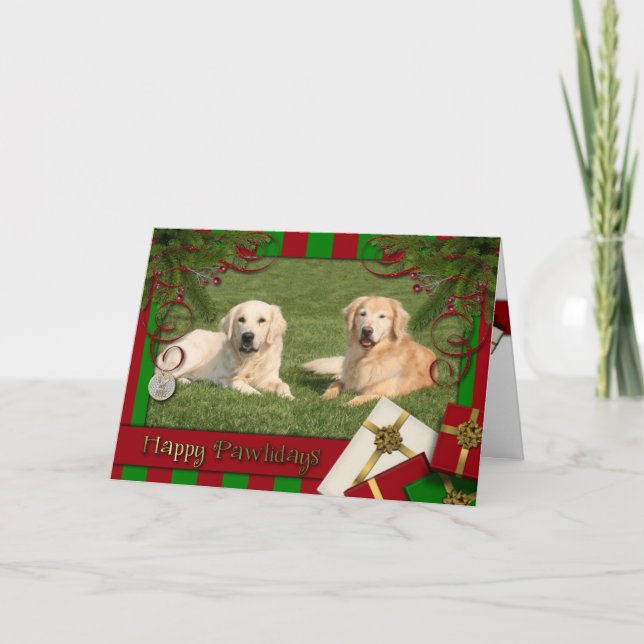 Weihnachten - Happy Pawlidays - Golden Retrievers (Vorderseite)