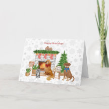 Weihnachten, Havanese, Golden Retriever, Labrador 