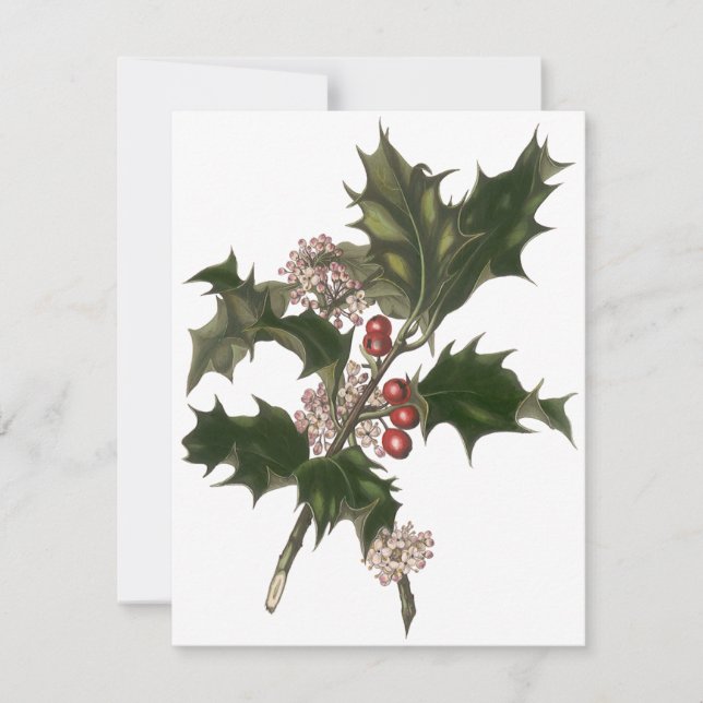 Weihnachten, Holly Pflanze Berries Einladung (Vorderseite)