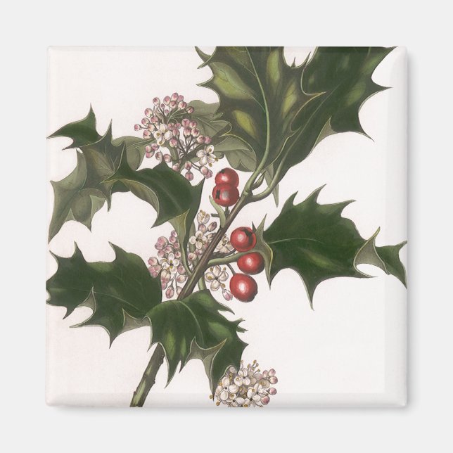 Weihnachten, Holly-Pflanze mit Roten Berries Magnet (Vorne)
