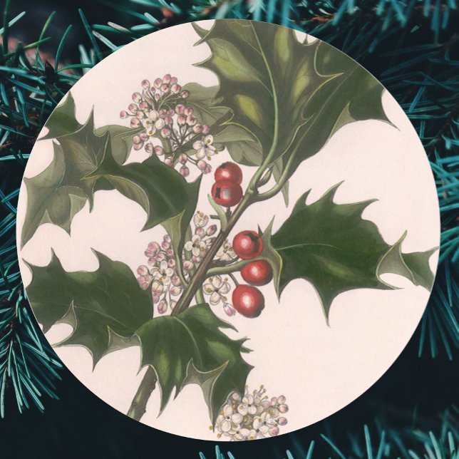 Weihnachten, Holly-Pflanze mit Roten Berries Runder Aufkleber (Von Creator hochgeladen)