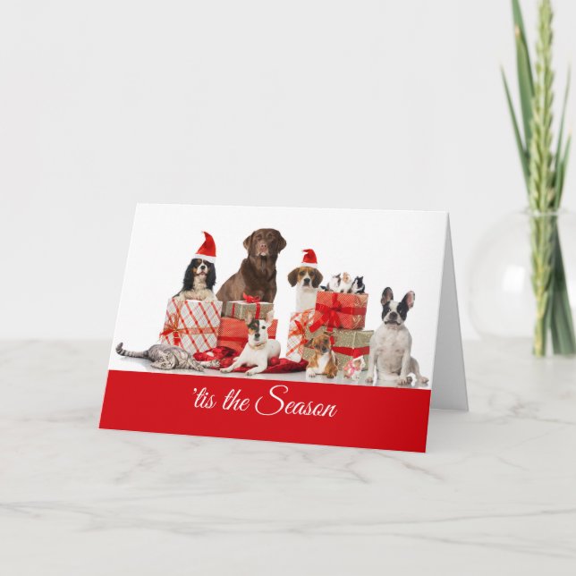 Weihnachten | Hübsche Geschenke Santa Hunde und ei (Vorderseite)