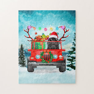 Weihnachten in Neufundland