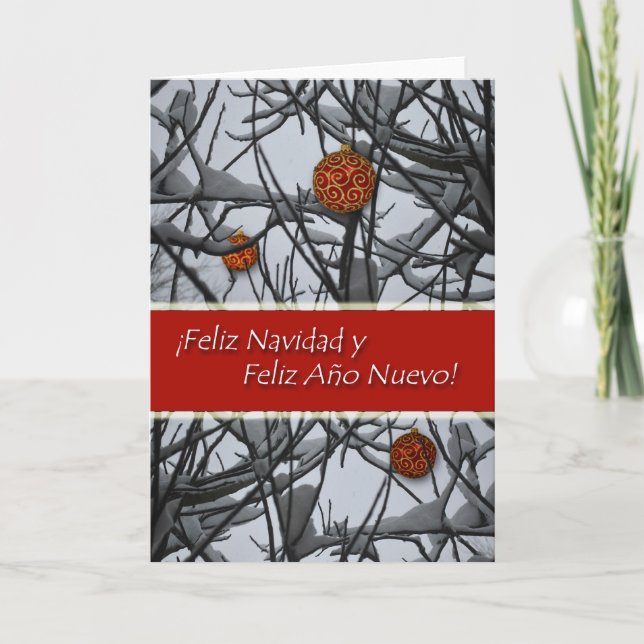 Weihnachten in Spanien, Schnee (Vorderseite)