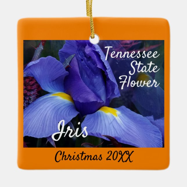 Weihnachten in Tennessee Staat Blume Iris Keramikornament (Vorderseite)
