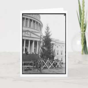 Weihnachten in Washington DC