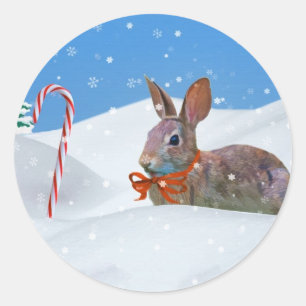 Weihnachten, Kaninchen, Schnee, Zuckerstangen Runder Aufkleber