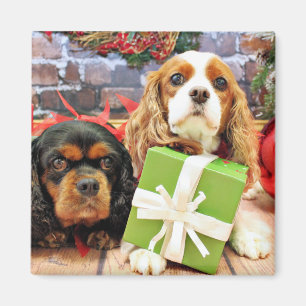 Weihnachten - Kavalier - süße Erbse und Mohnblum Magnet