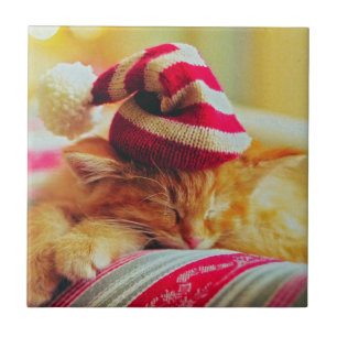 Weihnachten Kitten Fliese