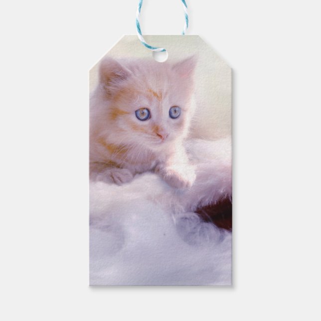 Weihnachten Kitten Geschenkanhänger (Vorderseite)