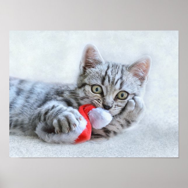 Weihnachten Kitten Poster (Vorne)