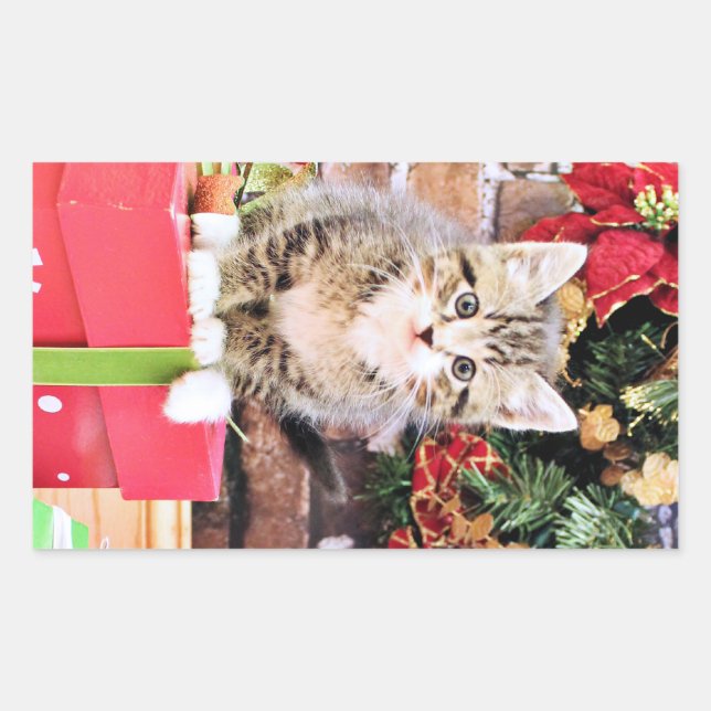 Weihnachten - Kitty Cat - Monki Rechteckiger Aufkleber (Vorderseite)