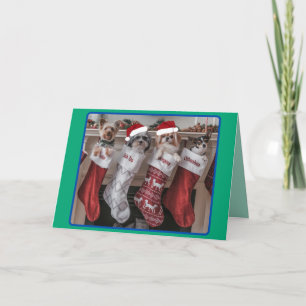 Weihnachten Kleiner Hund Mantle Faltschachtel Weih