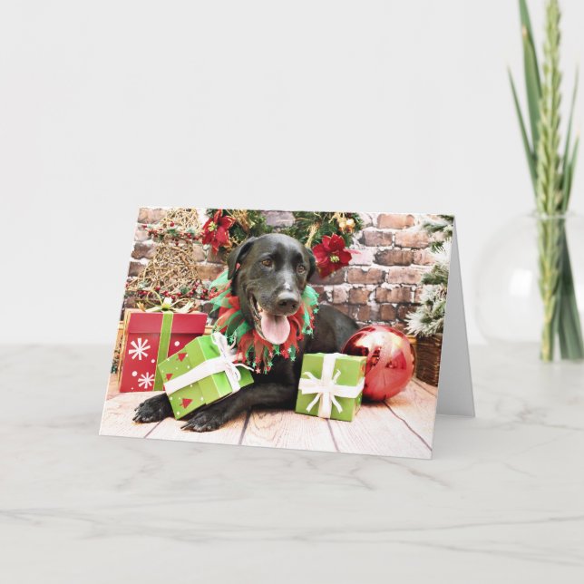Weihnachten - Labrador - Gracie (Vorderseite)