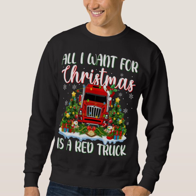 Weihnachten leuchtet Weihnachten Alles, was ich zu Sweatshirt (Vorderseite)