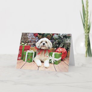 Weihnachten - Lhasa Apso - Muffie