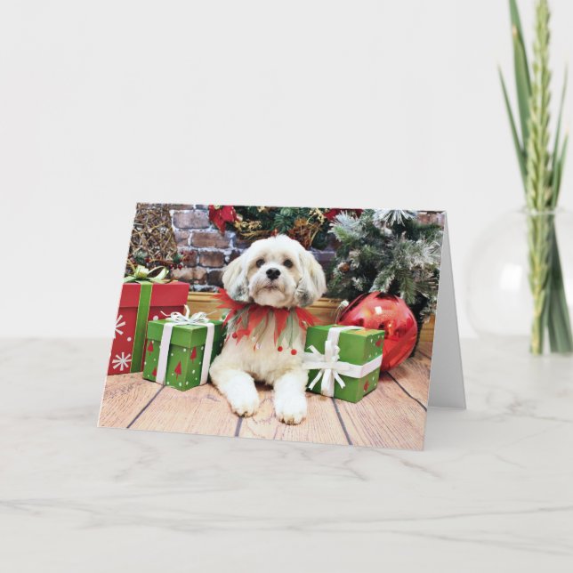 Weihnachten - Lhasa Apso - Muffie (Vorderseite)