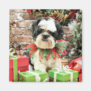 Weihnachten - Lhasa Apso - Parker Magnet