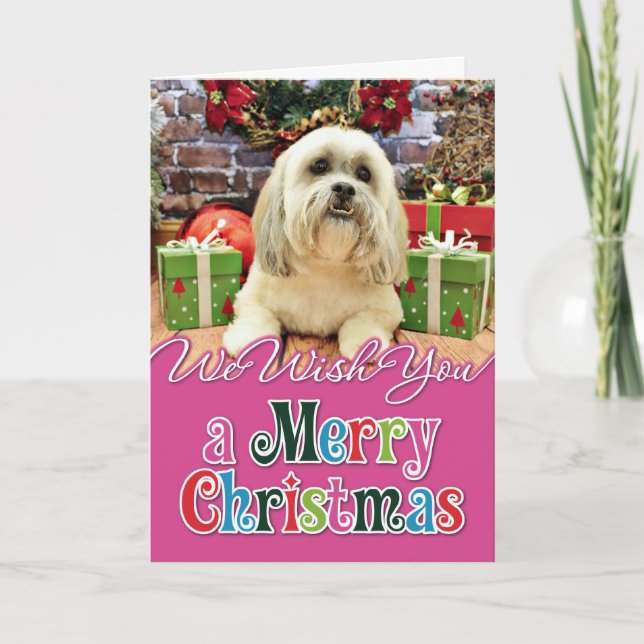 Weihnachten - Lhasa Apso - Solo (Vorderseite)