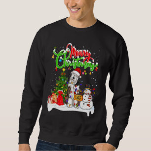 Weihnachten Lighting Matching Santa Barted Collie Sweatshirt