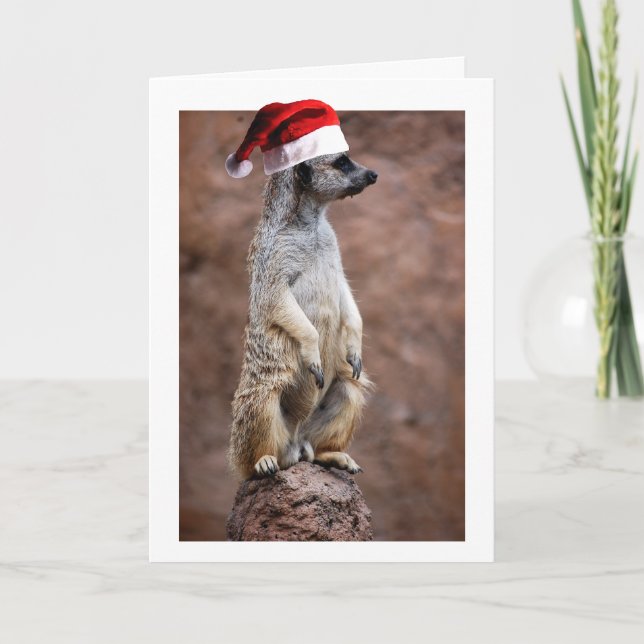 Weihnachten MeerKat (Vorderseite)